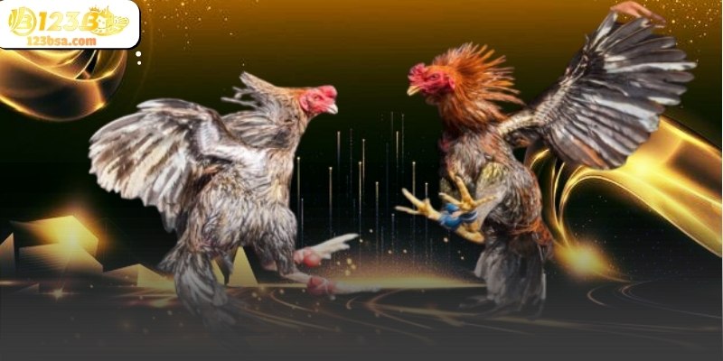 Giao diện theo dõi trận đấu được thiết kế rõ ràng và trực quan.