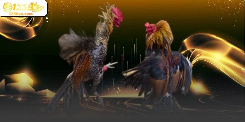 Giao diện theo dõi trận đấu được thiết kế trực quan và dễ quan sát.