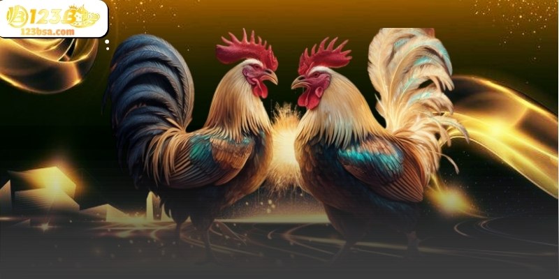 Việc theo dõi kỹ lưỡng từng diễn biến giúp người dùng hiểu rõ hơn về nhịp độ của trận đấu 