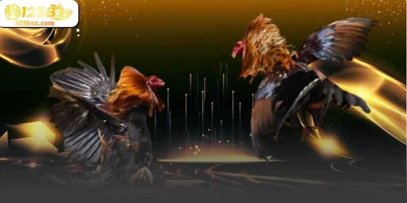 Việc theo dõi kỹ lưỡng từng diễn biến giúp người dùng hiểu rõ hơn về nhịp độ trận đấu